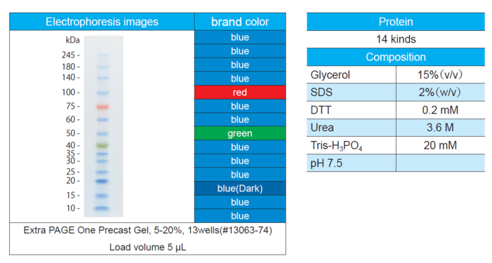 ぽんぽ Protein Ladder One Plus, Triple-color for SDS-PAGE｜Products